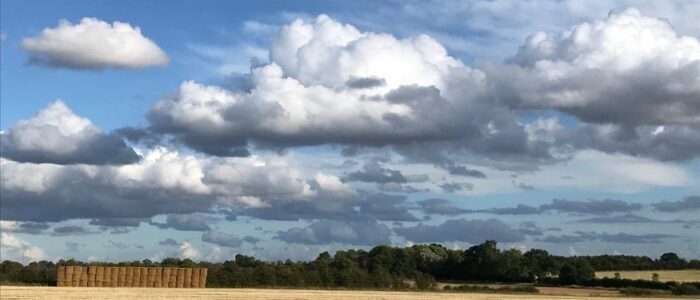 View of fields