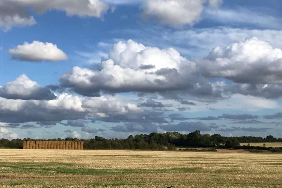 View of fields